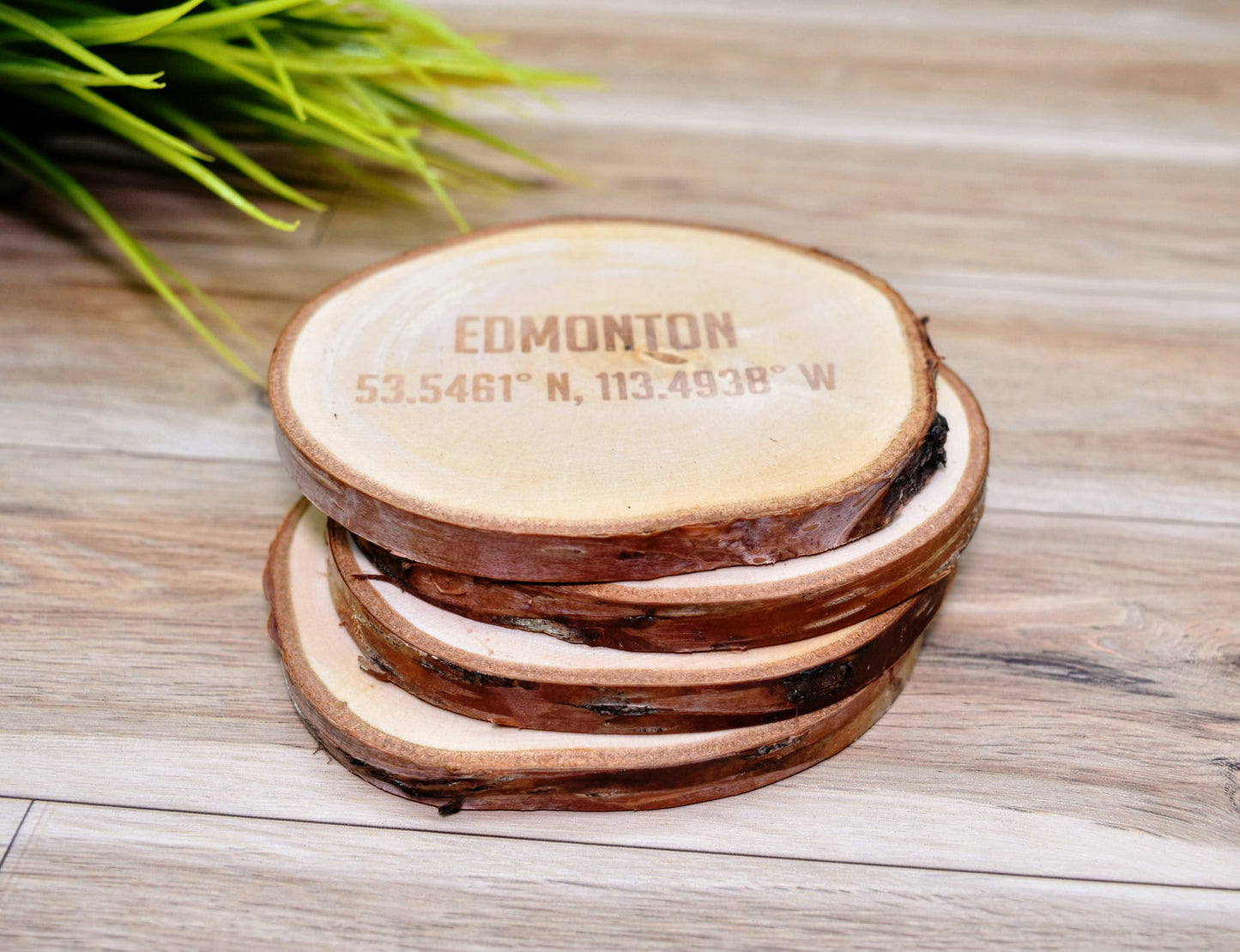 Engraved City Coaster Set on Birch Tree Slices