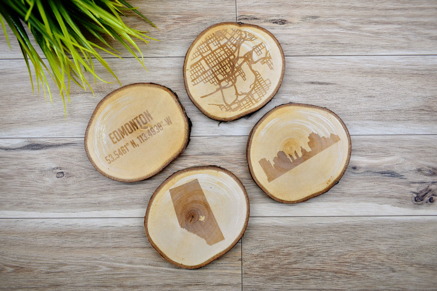Engraved City Coaster Set on Birch Tree Slices