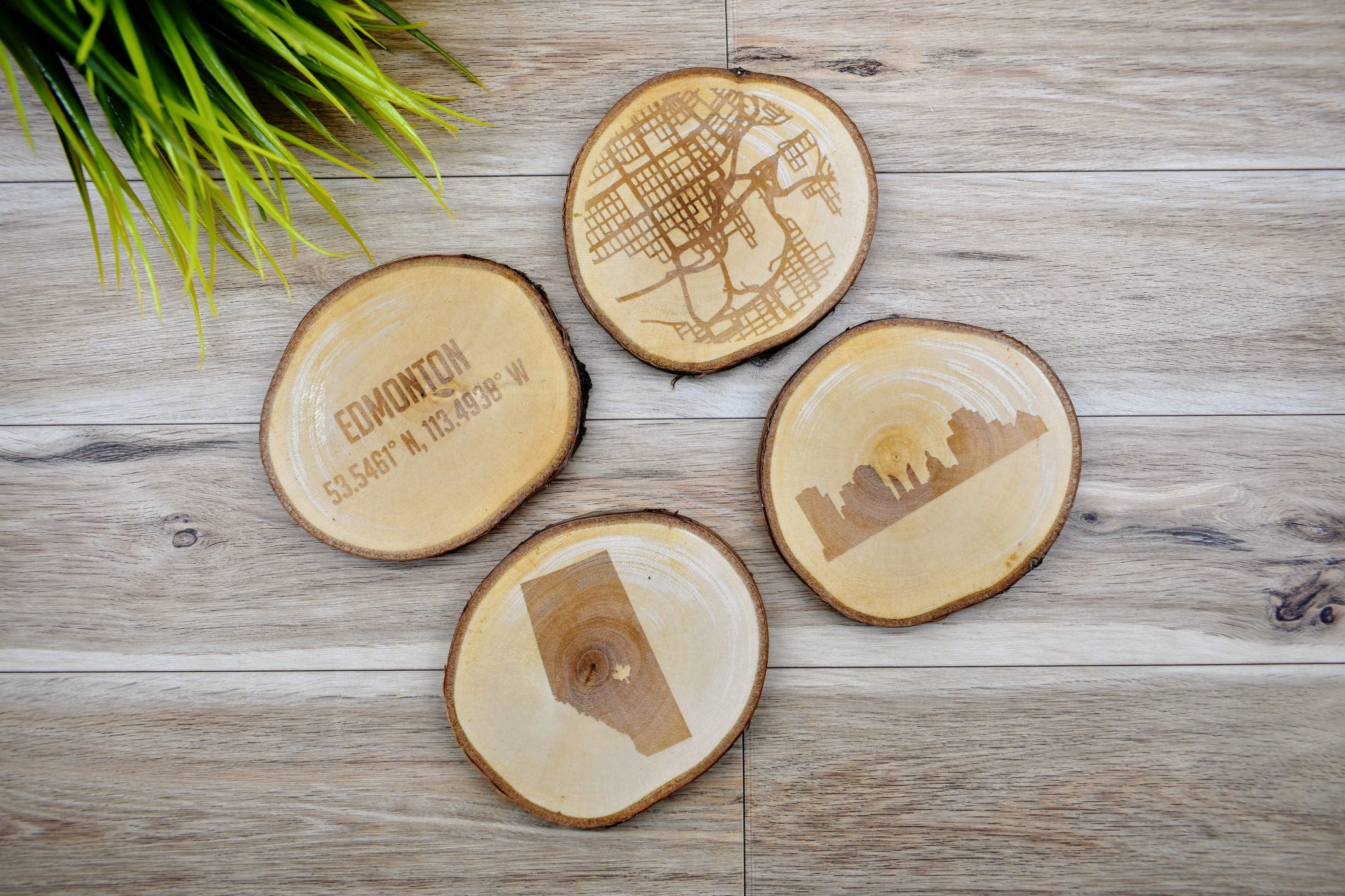 Engraved City Coaster Set on Birch Tree Slices 58 Studio